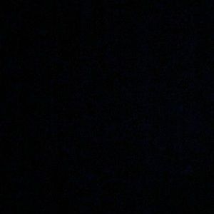 Meet your Posher, Addison